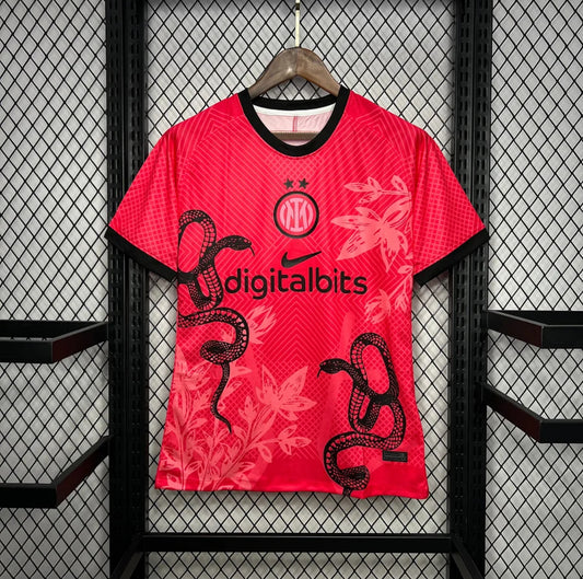Inter Milan maillot foot 2024/2025 concept